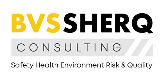 bvs-sherq-consulting-new